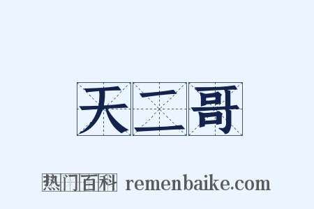 天二哥是什么意思的图片